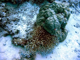 File-0076