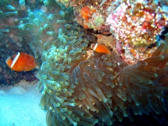 File-0084