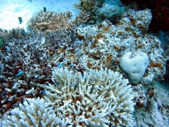 File-0091