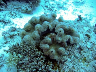 File-0094