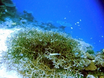 File-0095