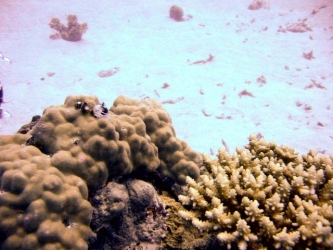 File-0096