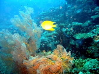 File-0177
