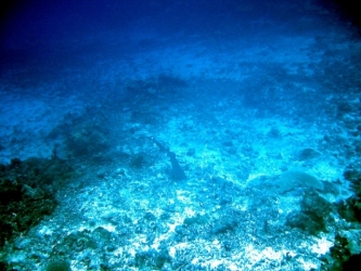 File-0196