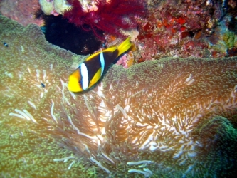 File-0200