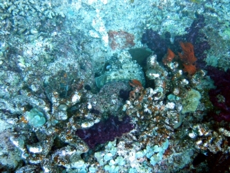 File-0210
