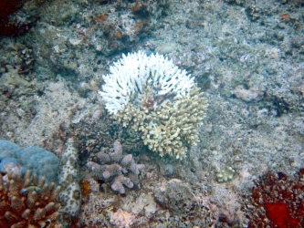 File-0211