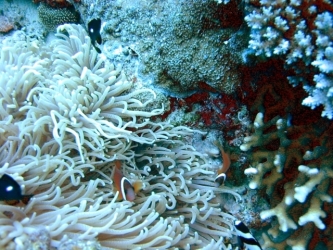 File-0221