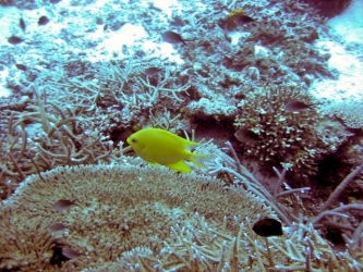 File-0224