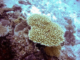 File-0225