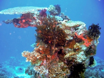 File-0235