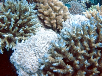 File-0254