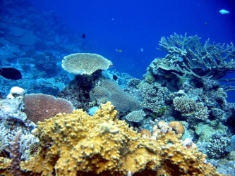 File-0256
