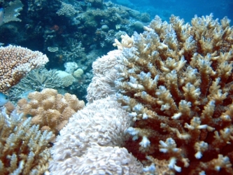 File-0257