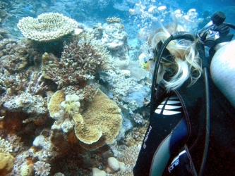 File-0259