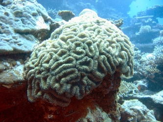 File-0261