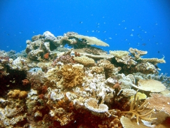 File-0267