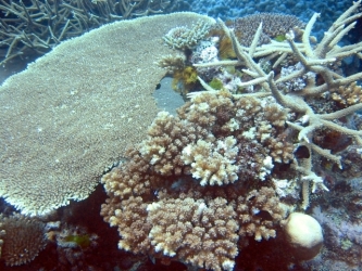 File-0268