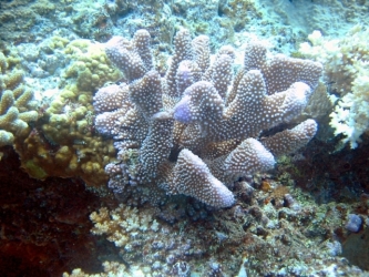 File-0272