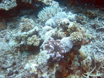 File-0276