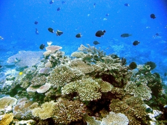 File-0287