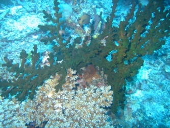 File-0292