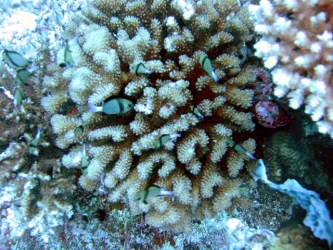 File-0300