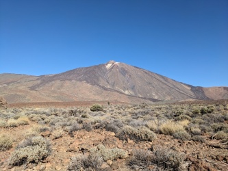 PXL_20240123_112410123
