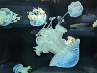 PXL_20240303_134000820