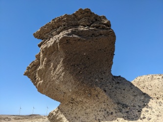 PXL_20240305_102323005